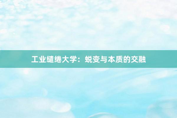 工业缱绻大学：蜕变与本质的交融
