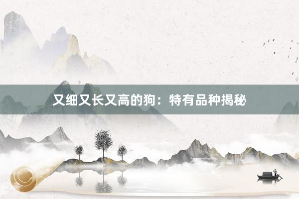 又细又长又高的狗：特有品种揭秘