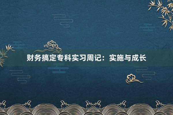 财务搞定专科实习周记:实施与成长